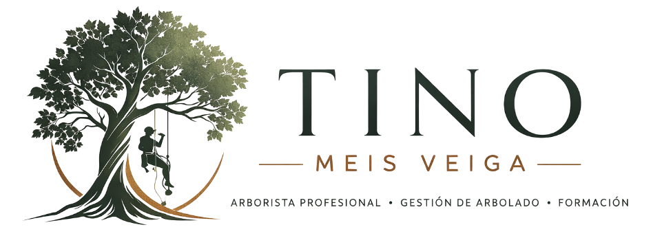Tino Meis Veiga Logo