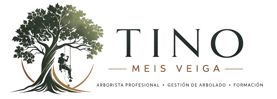 Tino Meis Veiga Logo